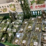 安曇野市加工・農産物販売センタ－ - 天然タラの芽がこんなに沢山売ってました