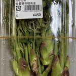 安曇野市加工・農産物販売センタ－ - 天然のタラの芽