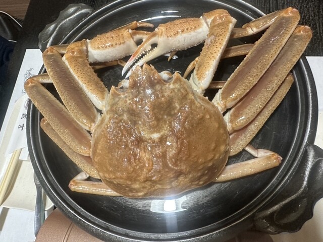 Crab Fugu Senmon Kaneyoshi Nanba Dotonbori