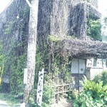 てんtoてん - てんtoてん(外観)