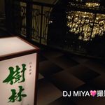 日本料理 樹林 - 