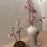 うなぎ四代目菊川 ヒルトンプラザウエスト大阪店 - 