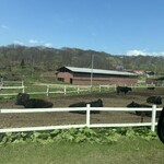 ウエムラ・ベース - 