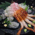 月のダイニング うさぎ - 