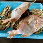 魚稚 - 相生牡蠣と鯛