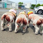 アウトレット十勝 三芳工場直売店 - 