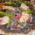 魚時々肉 夛田 - 料理写真:ふぐとシシトウとニンニクの芽。