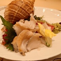 函館うに むらかみ 日本生命札幌ビル店 - 函館産活真つぶ刺身