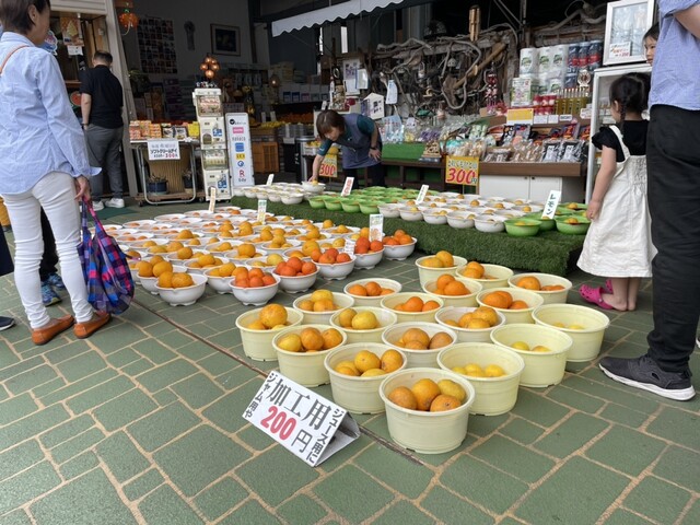 みかん問屋(有)石澤商店 - 湯河原/その他 | 食べログ