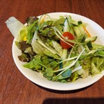 神楽坂エスニック SAPANA - サラダ