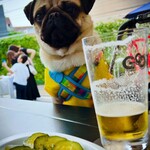 Pizzeria&Trattoria GONZO 自由が丘店 - 