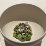 SINAE - 【 碓井豌豆 】