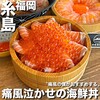 糸島海鮮堂 二見ヶ浦本店