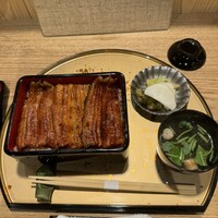 うなぎ 目白ぞろ芽 - 