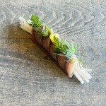 レヴォ - イワシ