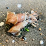 レヴォ - アップで♪