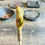 レヴォ - アップで♪