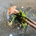 レヴォ - ソースにスプラウトを絡めて♥️