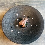 レヴォ - ホタルイカ