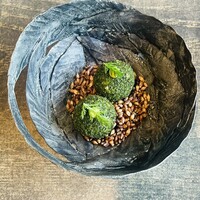 レヴォ - 甘鯛とじゃがいものクリケット