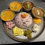 Curry Spice Gelateria KALPASI - 