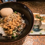タイニーカフェ - 納豆丼煮卵付き、冷奴