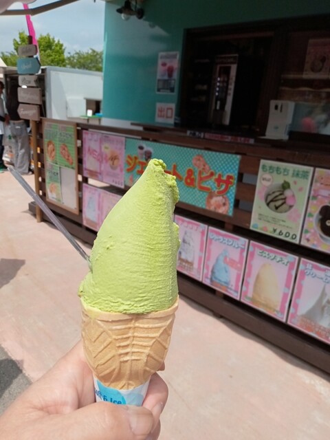 aladate Gelato & PIZZA（アラダテ ジェラート & ピッツァ） - 池月（ジェラート・アイスクリーム）の写真