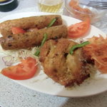 バーワルチー - シークカバブ、チキンティッカ、玉葱アチャール平成２６年２月２４日