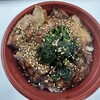 豚丼 じゅじゅ庵