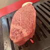 ヒレ焼肉 京都園
