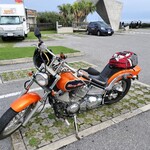 沖縄料理と海鮮居酒屋 平家亭 - 