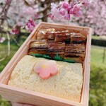 京都離宮 おだしとだしまき - だし巻きあなご寿司弁当