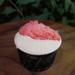 GELATERIA ACQUOLINA - 