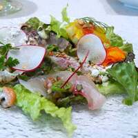 AzzurrA Mare SAJIMA - 