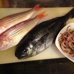 Dainingugurutsu - 山口県で取れたお魚です！