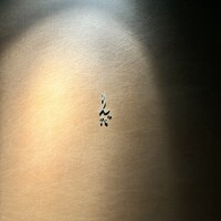 鮨 りんだ - 