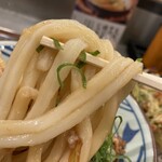 Marugame Seimen - 