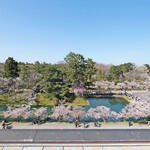 スターバックスコーヒー - 弘前公園の追手門通り沿いの快晴で満開の桜