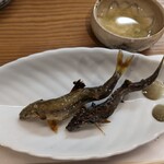 割烹 市川 - 鮎