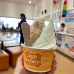 Oga Gelato - ダブル 620円…海(塩バニラ、スタンダード)＋アヤメ珈琲(プレミアム)