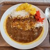 ガラパゴス カフェ - 料理写真:太陽のカレー　800円