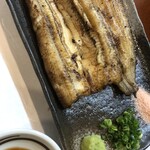 Unagi Ikeda - 