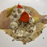 Ｎico - サクラマス