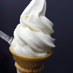 高知アイス売店 - 