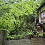 Higashiyama Bonuru - 