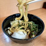 うどん 錦 - 山菜おろし（冷）800円