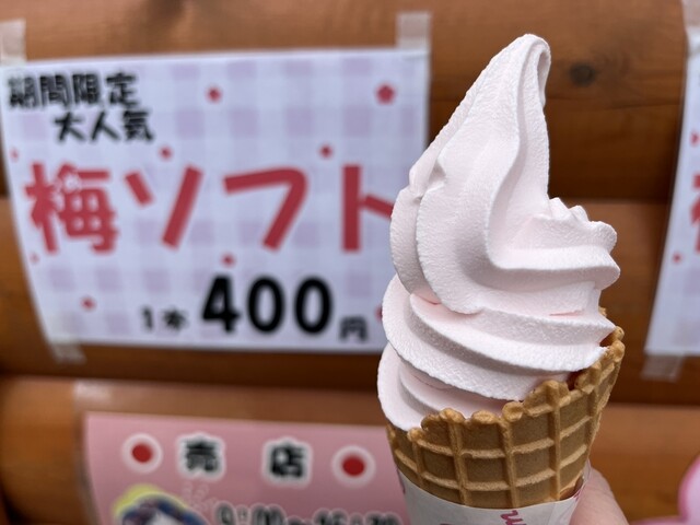 Hiraoka Ume Honpo photo 4