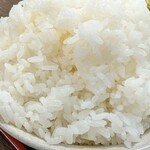 白龍ラーメン - 普通盛りの白米