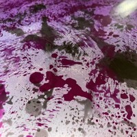 SCALAE - 