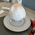 サクラサクラ - 